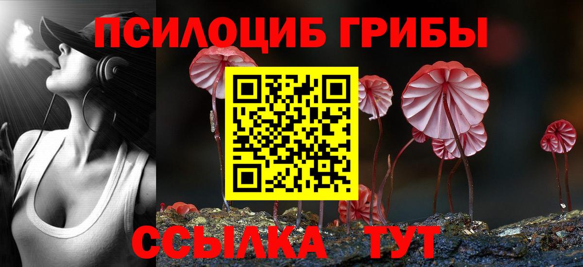 Черкесск  Галлюциногенные грибы MAGIC MUSHROOMS  Псилоцибиновые грибы мицелий  дарнет шоп  Вход с VPN 